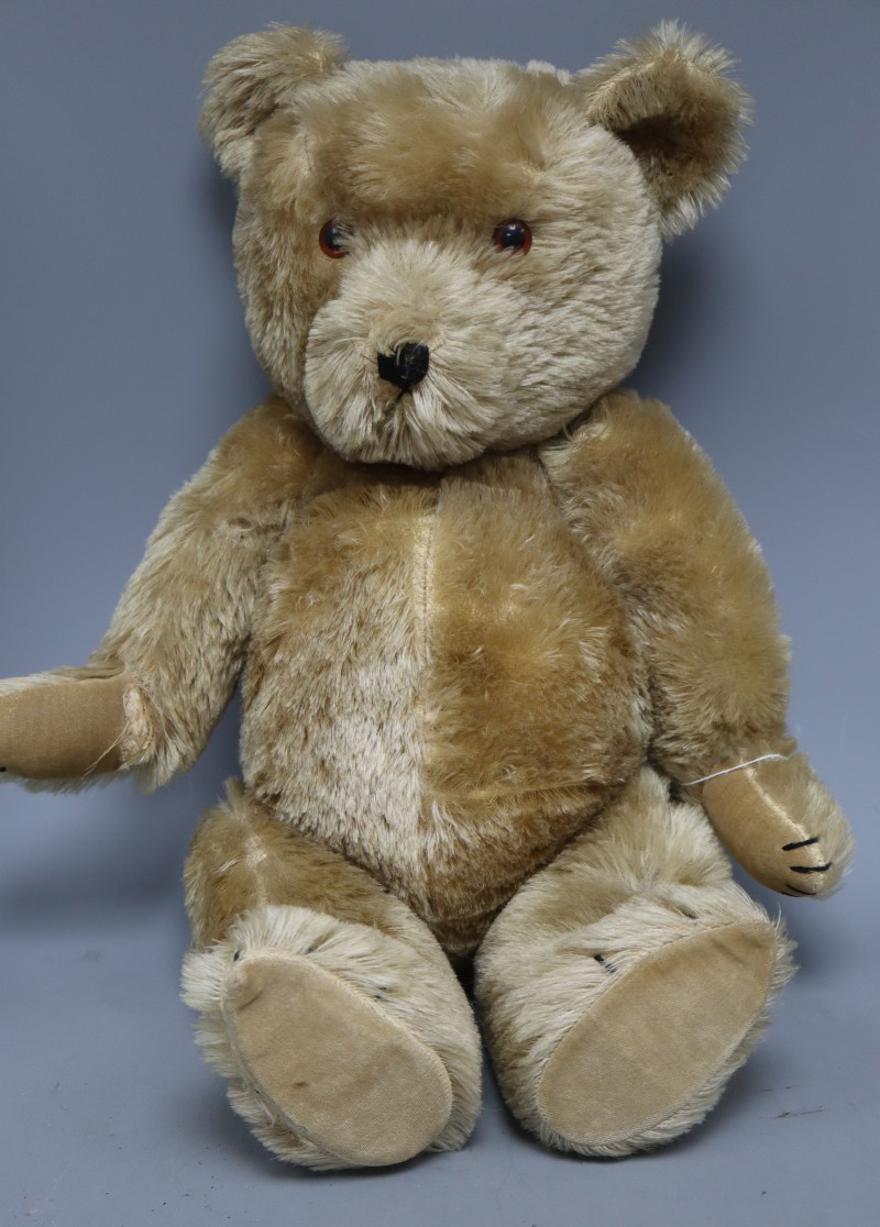 A Chiltern teddy bear